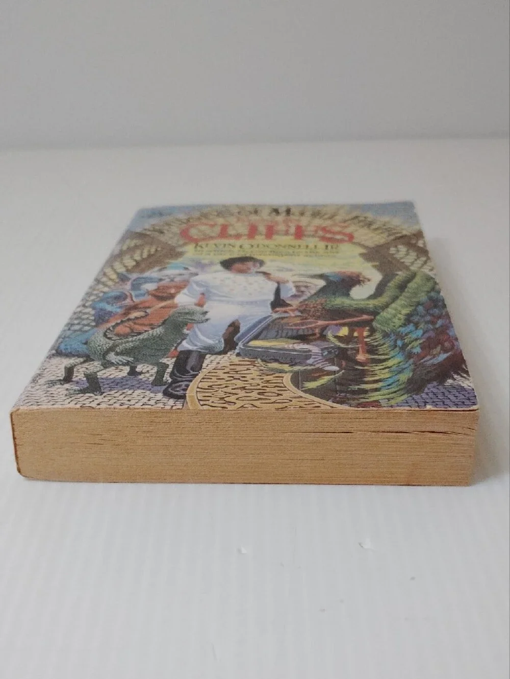 8 For $8 Journeys of McGill Feighan: Cliffs - White Book Cover